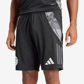 adidas Algeria 2024 Training Shorts