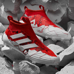 adidas Ace 17+ Purecontrol Confed Cup FG
