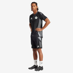 adidas Algeria 2024 Training Shorts