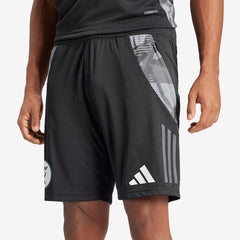 adidas Algeria 2024 Training Shorts