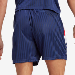 adidas Ajax 22/23 Icon Shorts