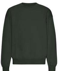 Oversized Crewneck Sweatshirt Verdone
